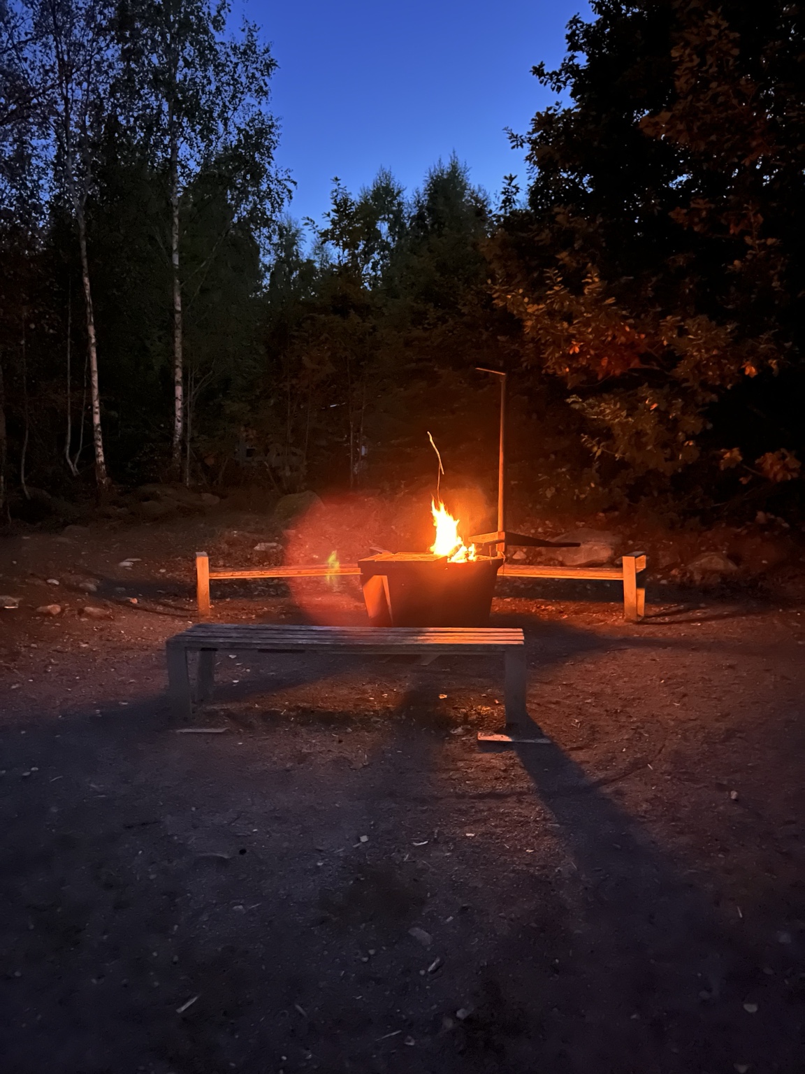Et bål og bænke i skovens skumring